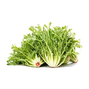 Lettuce Frisee - Rithy 1 Supply