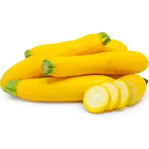 Zucchini Yellow - Rithy 1 Supply