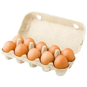 Fresh Eggs - Delishop Fresh