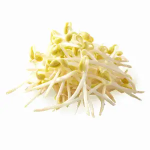 Yellow Bean Sprouts - City Of Sprouts