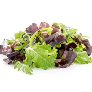 Mixed Baby Salad - City Of Sprouts