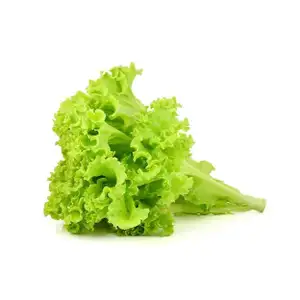Khmer Frizze - City Of Sprouts