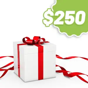$250 Gift Voucher