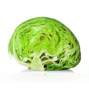 Iceberg Salad - Delishop Fresh