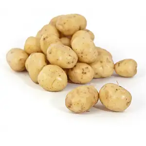 Baby Potato