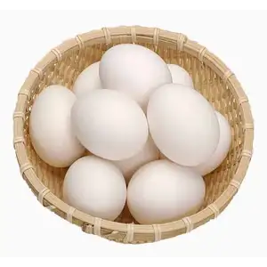 Duck Eggs
