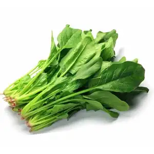 Spinach - Delishop Fresh