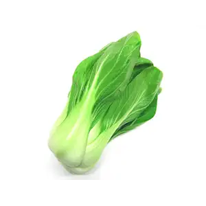 Pak Choi - Delishop Fresh