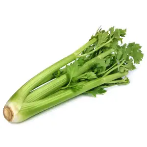 Celery