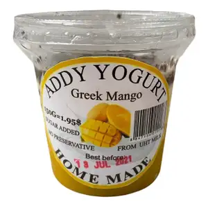 Greek Mango Yogurt - Addy Yogurt
