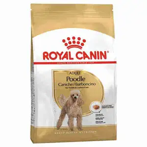 Adult Poodle - Royal Canin