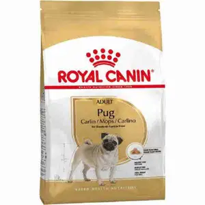 Adult Pug - Royal Canin