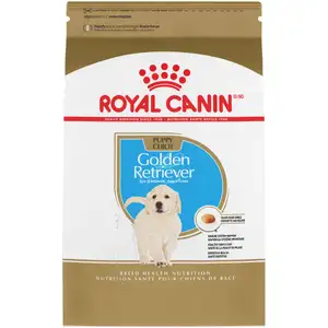 Golden Retriever Puppy Chiot - Royal Canin