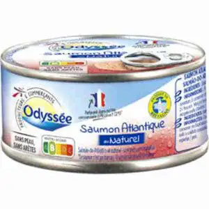 Salmon Atlantic in Brine - Odyssée
