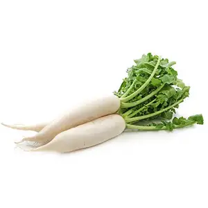 White Radish - Delishop Fresh