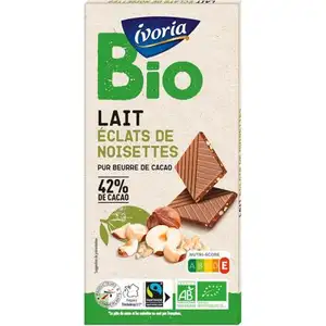 Organic Milk Chocolate with Hazelnut 42% - Ivoria