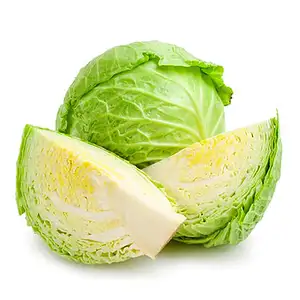 White Cabbage