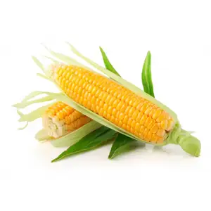Yellow Corn - Delishop Fresh