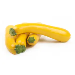 Yellow Zucchini - Delishop Fresh