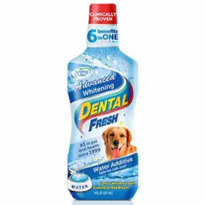 Dog Teeth Cleaning Dental Fresh Whitening - Pet Shop