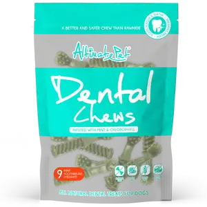 Dental Chews Mint Chlorophyl Toothbrush - Altimate Pet