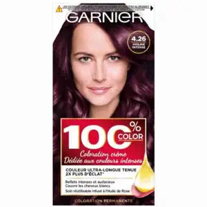 Permanent Hair Coloring 4.26 Le Violine Intense - Garnier