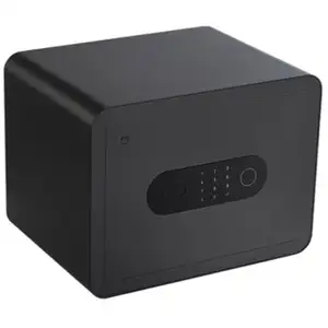 Mi Safe Deposit Box - Mi