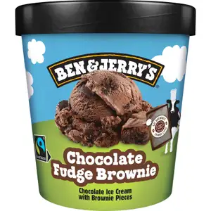 Chocolate Fudge Brownie Ice Cream - Ben & Jerry's