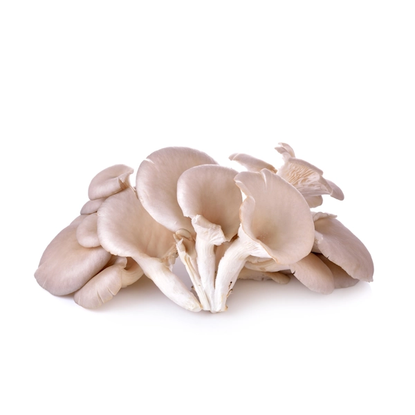 Mushrooms