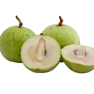 Green Star Apple (Chrysophyllum Cainito)