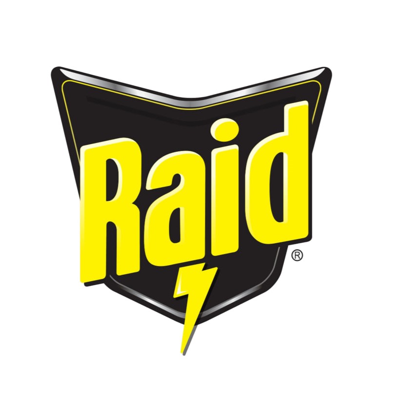 Raid