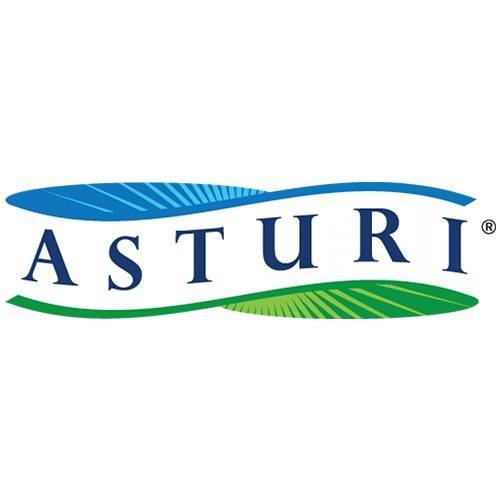 Asturi
