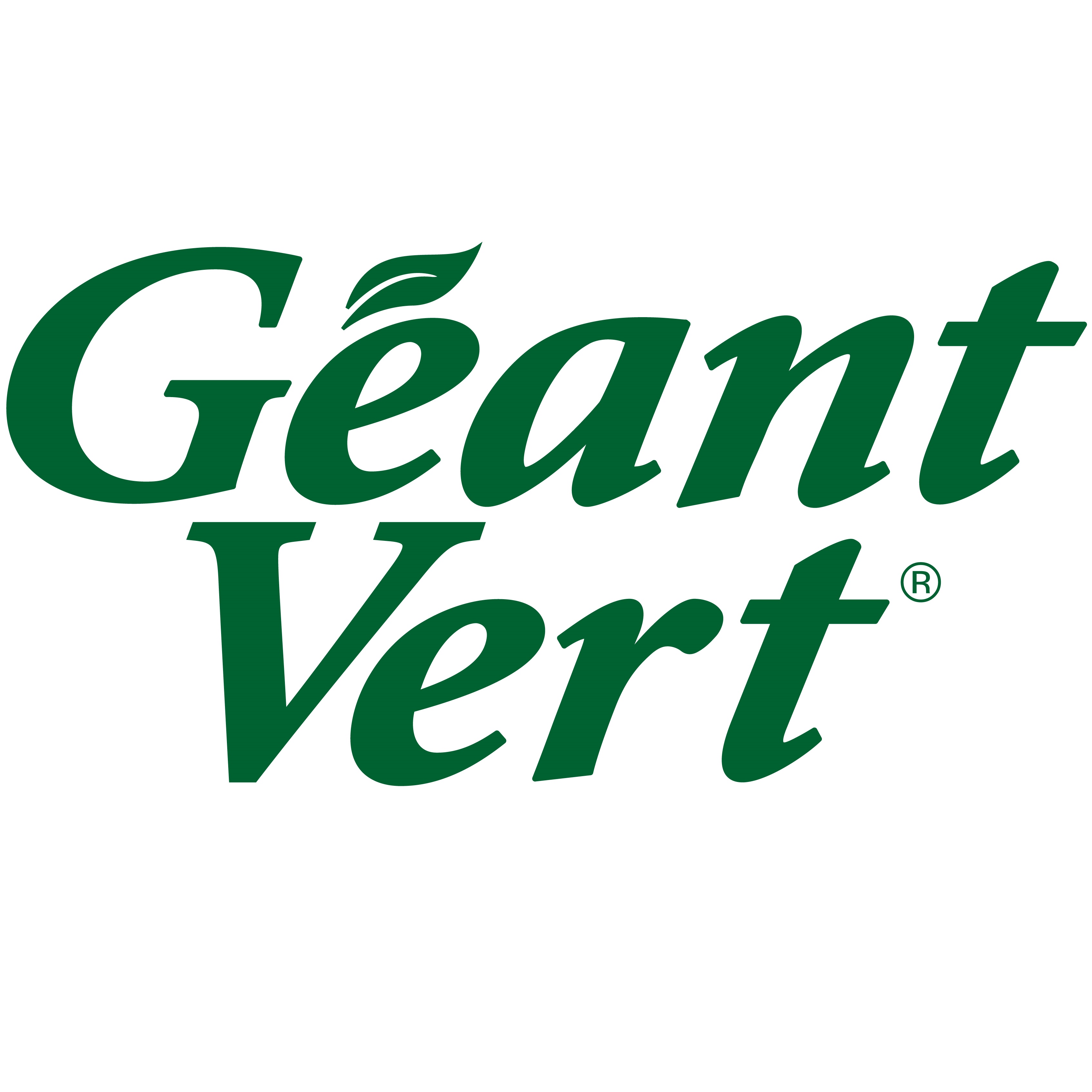 Géant Vert