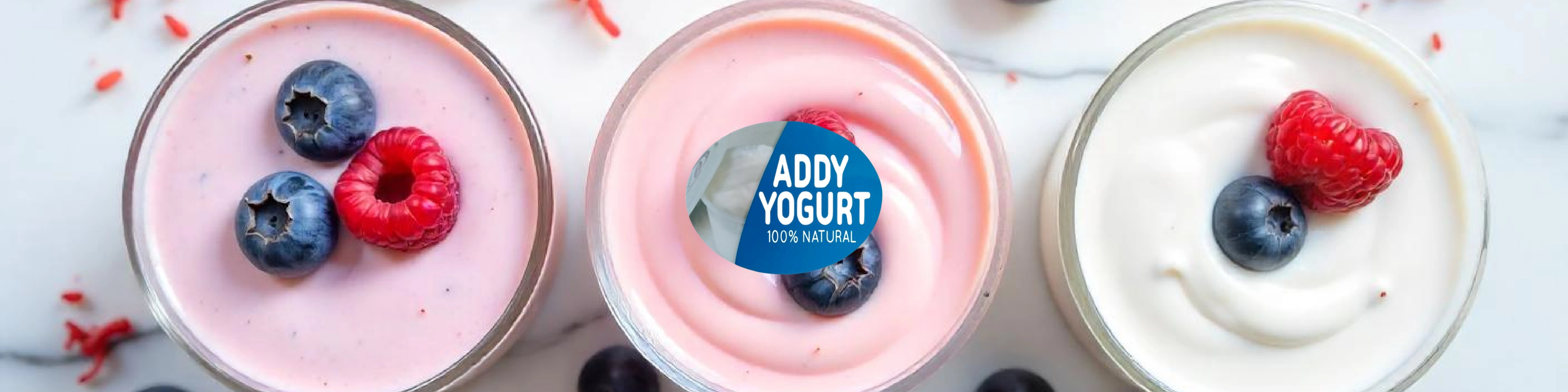 Addy Yogurt