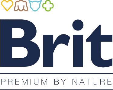 Brit