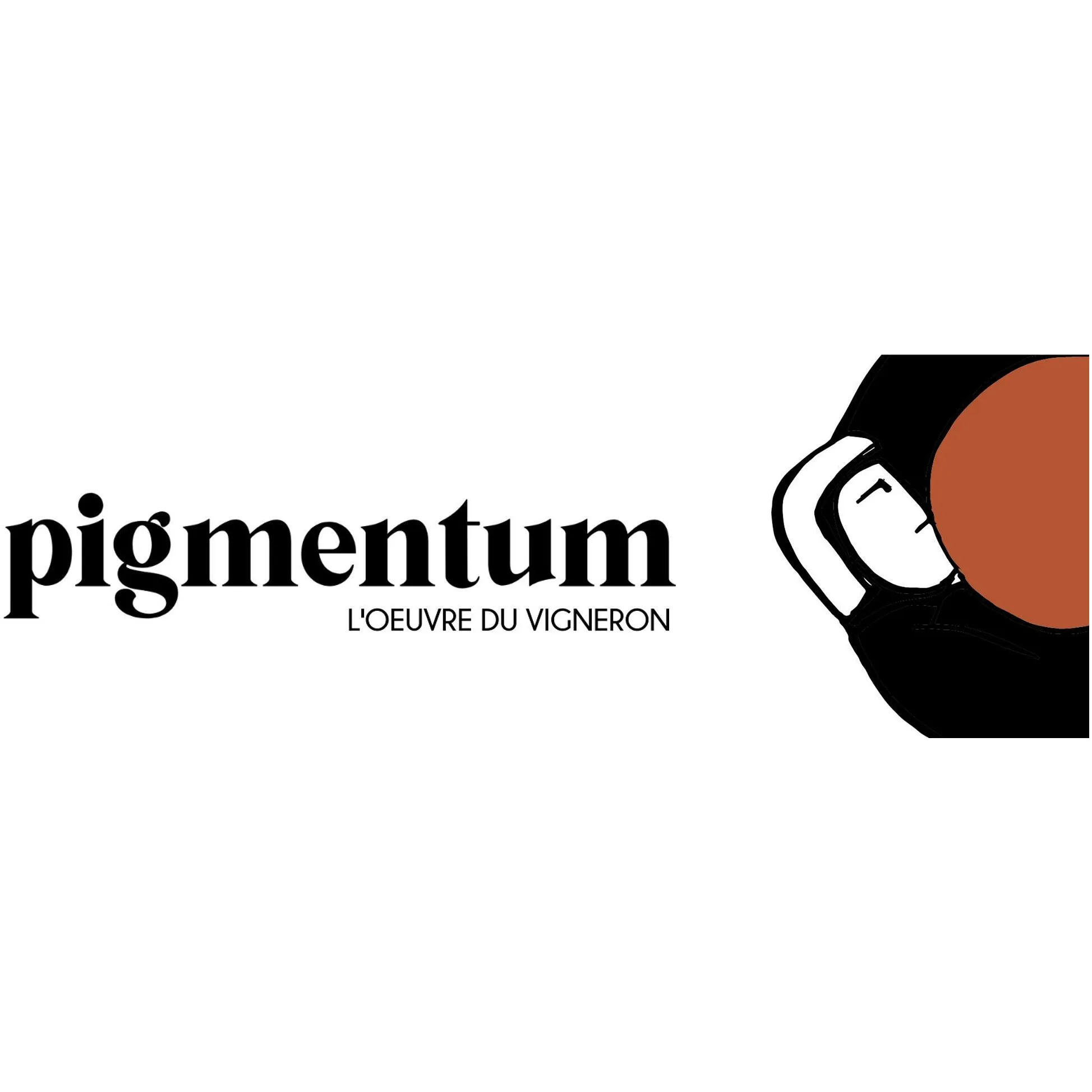 Pigmentum