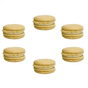 Vanilla Macaron - Eric Kayser