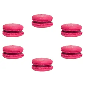 Raspberry Macaron - Eric Kayser
