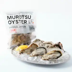 Japanese Premium Oyster - Murotsu