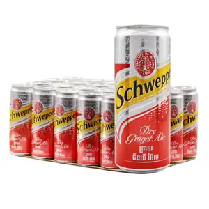 Ginger Ale Can Pack X24 - Schweppes