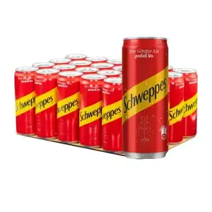 Ginger Ale Can Pack X24 - Schweppes