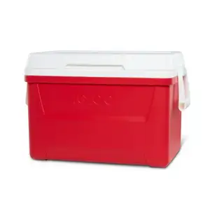 Laguna Chest Cooler 48QT - Igloo