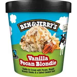 Vanilla Pecan Blondie Ice Cream - Ben & Jerry's