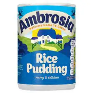Rice Pudding - Ambrosia