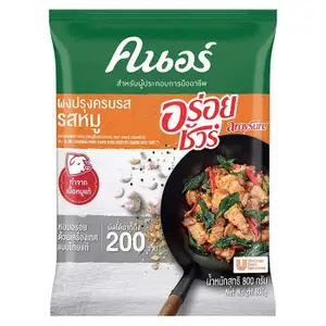 Rostip All In One Pork Seasoning Powder - Knorr