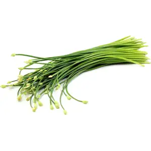 Chive Flower - Delishop Fresh