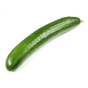 Japanese Cucumber