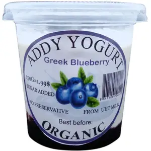 Greek Blueberry Yogurt - Addy Yogurt