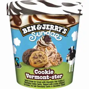 Sundae Cookie Vermont Ster - Ben & Jerry's