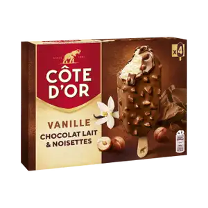 Vanilla, Chocolate & Hazelnuts Ice Cream - Côte D'or